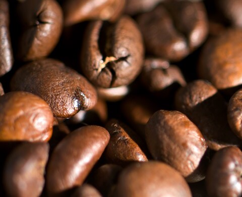 Image Result For Coffee Makers That Grind Coffee Beans beantype closeup 2 Coffee Makers That Grind Coffee Beans