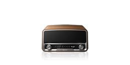 Radio and docking station