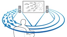 Surround system