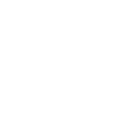 Neonatal development icon
