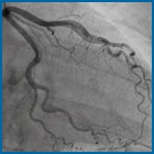 cardiology image