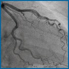 cardiology image