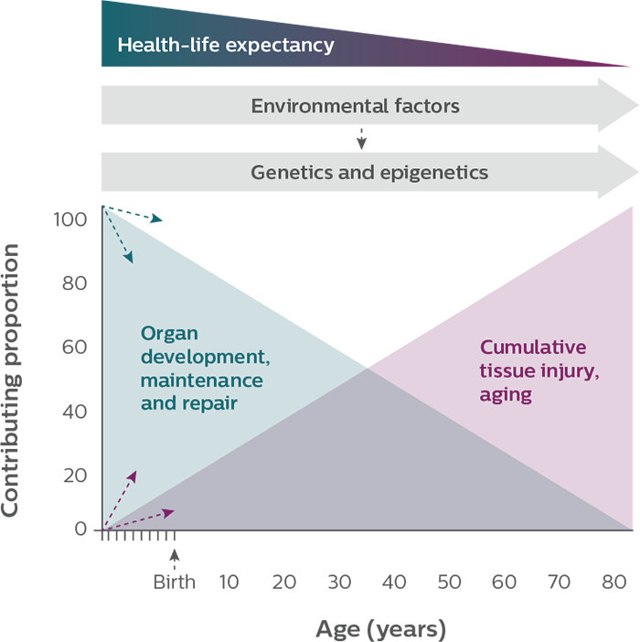 COPD beyond