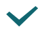Checkmark icon