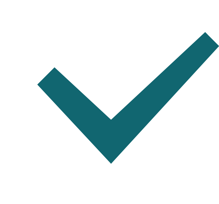 checkmark icon