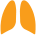 Lungs icon