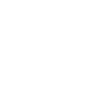 Alignment icon