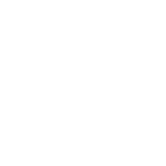 Compliance icon