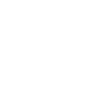 Investment icon