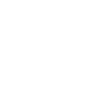 Risks icon