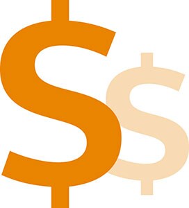 Money icon
