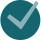 icon checkmark