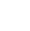 Lungs icon