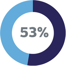 53 percent icon