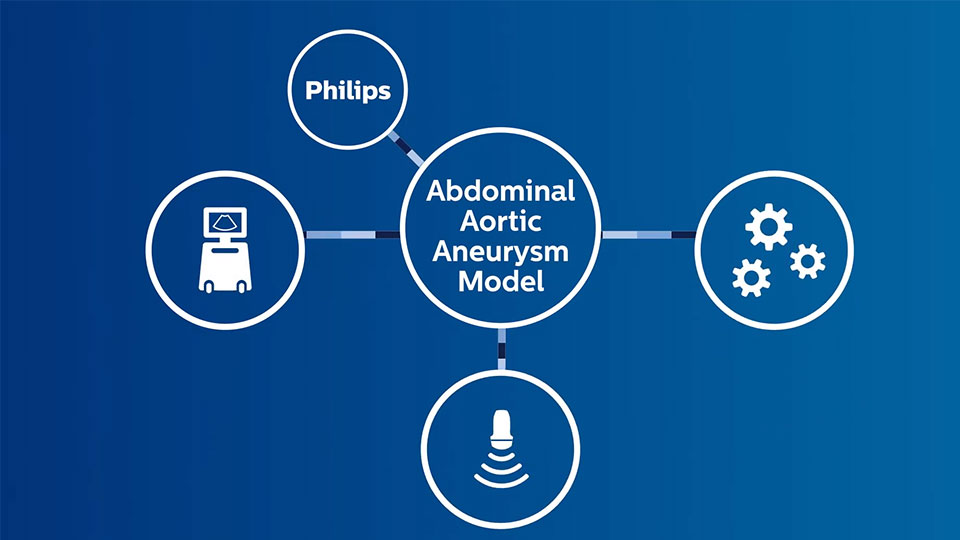 abdominal aortic aneurysm model