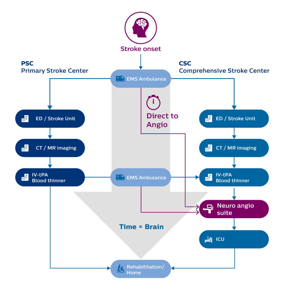 Direct to Angio Suite workflow