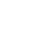 Global icon
