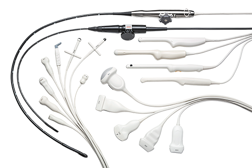 Transducer family image