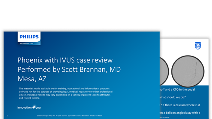 case review brannan phoenix download (.pdf) file