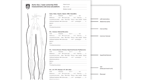 pad assessment tool download (.pdf) file