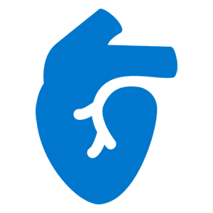 Cardiology icon