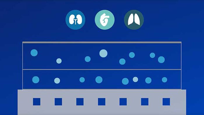 Population health strategy