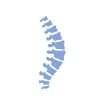 elition-3.0t-cervical-spine-with-robust-fatsat