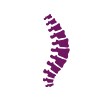 ingenia-1.5t-total-spine