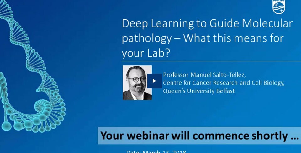 Molecular Pathology Image (opens in a new window) download document