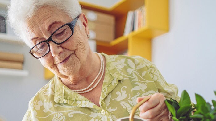 Can plants help your COPD?