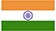 India flag icon