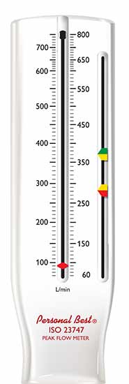 Asthma Check Peak Flow Meter Chart