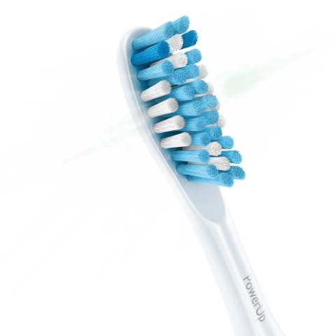 sonicare round brush heads