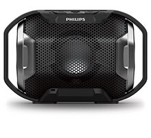 Philips ActionFit Sports Headphone