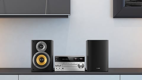 philips home speaker