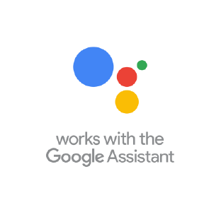 google assistant built-in