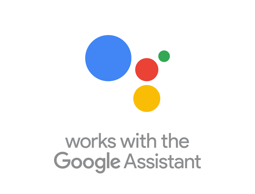 google assistant