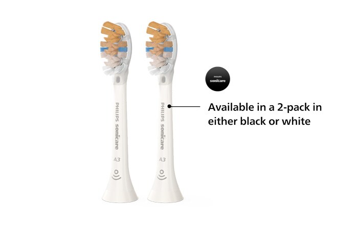 Two Philips Sonicare All-in-One brush heads