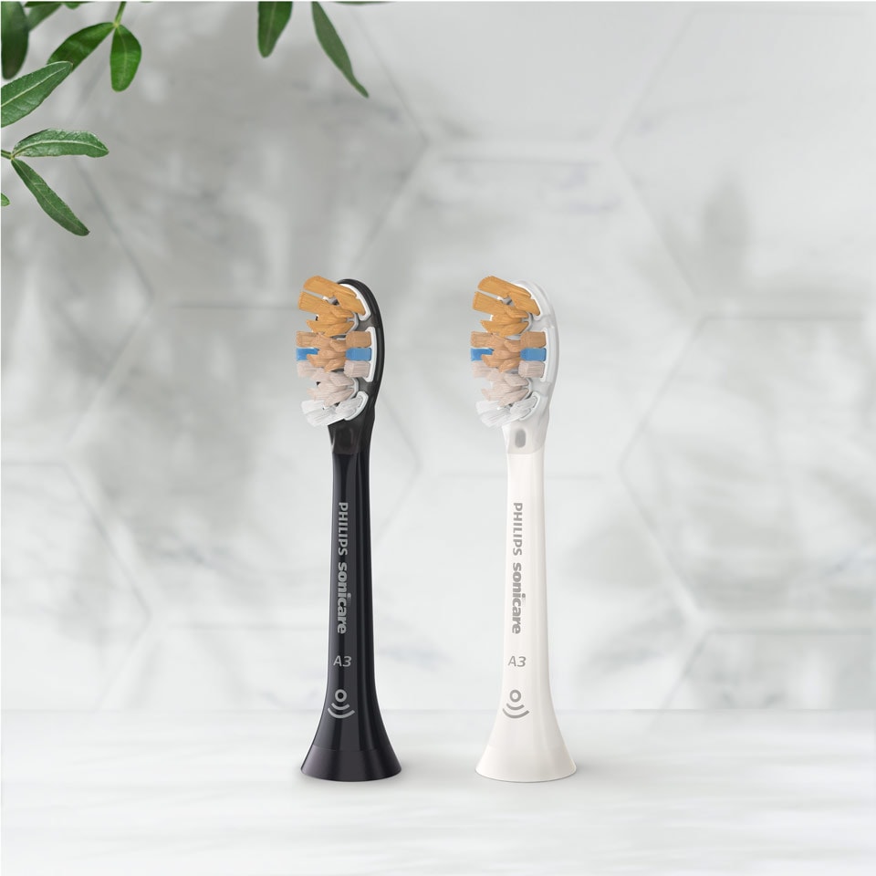 Two Premium All-in-One brush heads standing on a countertop