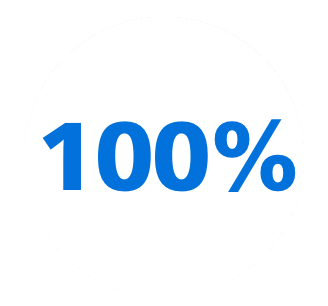 100 Percent Icon