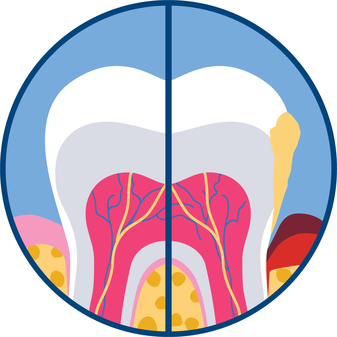 Patient resources icon six