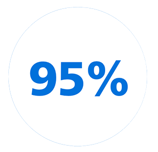 95 Percent Icon