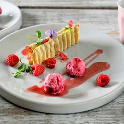 Raspberry yogurt ice cream | Philips