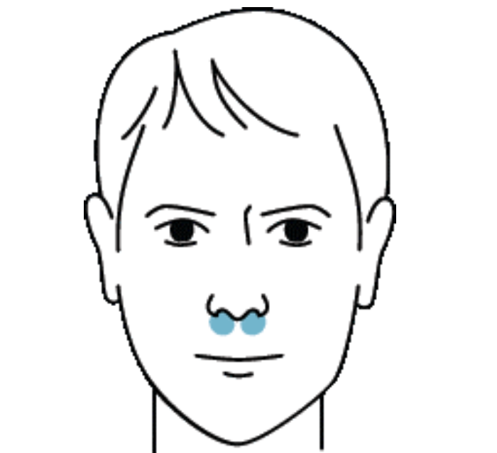 Philips Respironics Dreamwear Nasal Cushion Size Chart