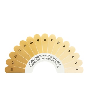 Shade guide