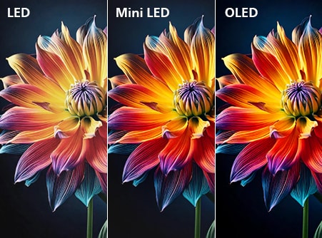 INTRO Comparison