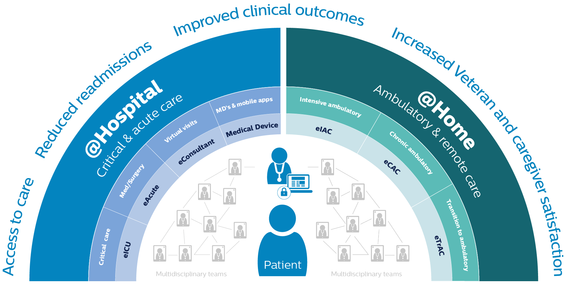 VA telehealth infographic