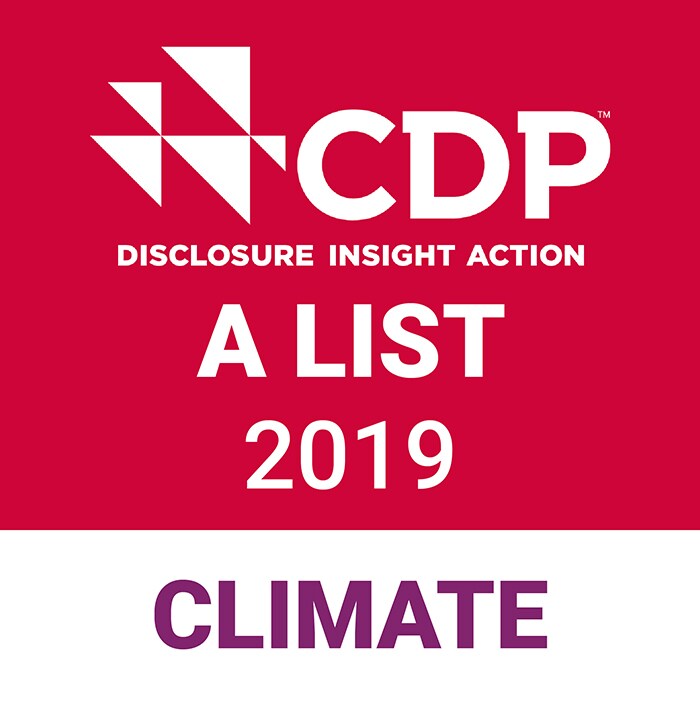 Download image (.jpg) CDP climate A List stamp (opens in a new window)