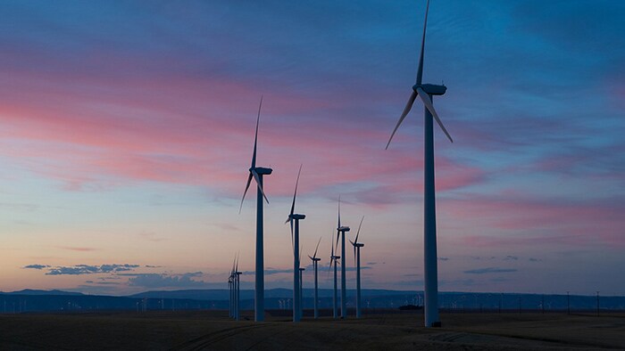 wind park in the USA